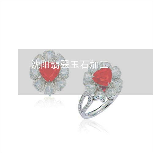 沈陽(yáng)翡翠玉石加工產(chǎn)業(yè)與橡膠制品行業(yè)的協(xié)同發(fā)展探析